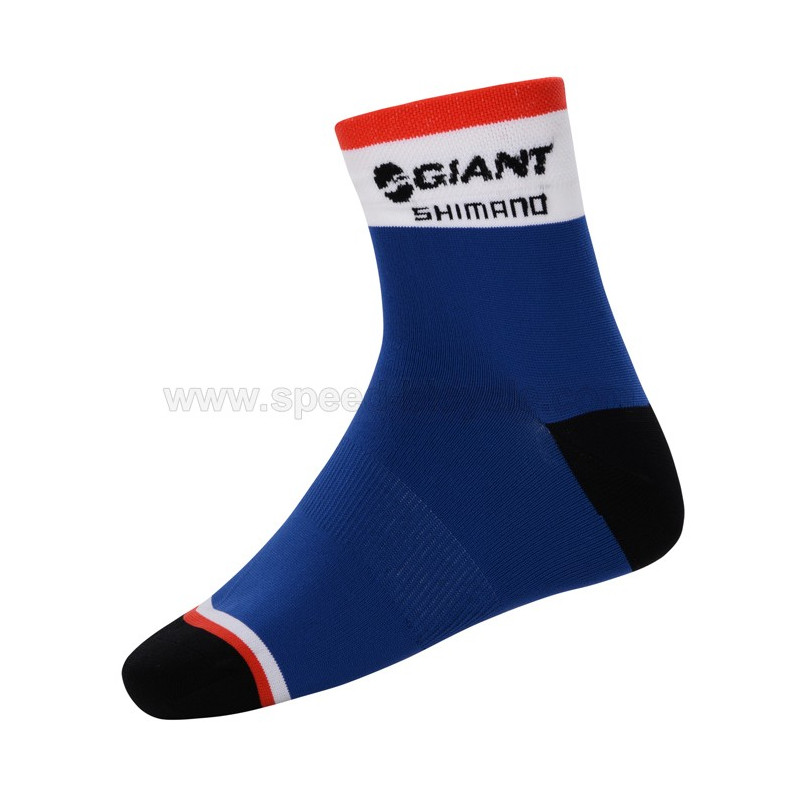 جورات تیم GAINT